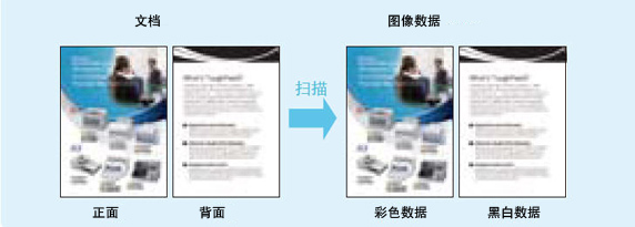 1547542405240945.jpg 9.jpg